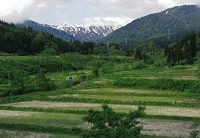 pic7.jpg